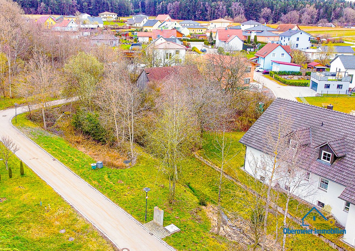 Foto Grundstück mit Altbestand in der Gemeinde Wald