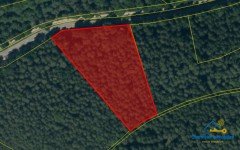 Hauptbild Nachhaltiger Sachwert: Waldgrundstück in der Oberpfalz