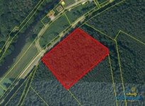 Hauptbild Nachhaltiger Sachwert: großzügiges Waldgrundstück in der Oberpfalz